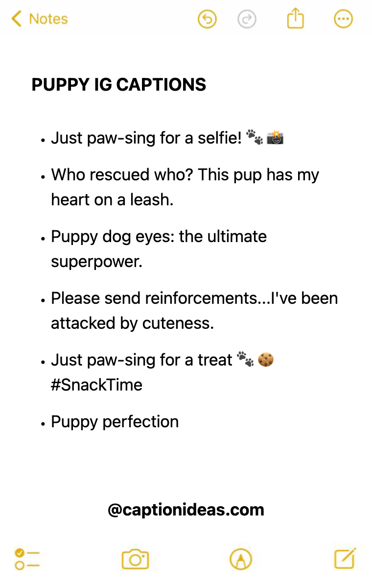 puppy Apple Notes Style