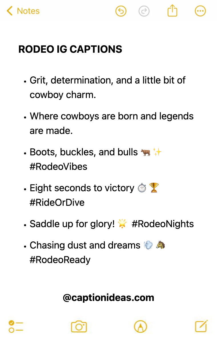 rodeo Apple Notes Style